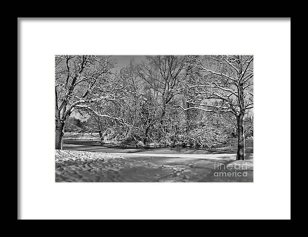 Landscape.winter Framed Print featuring the photograph Snowy mono island by Stephen Melia