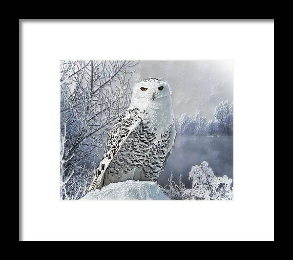 Snowy Owl Framed Print featuring the digital art Snowy Owl by Pennie McCracken