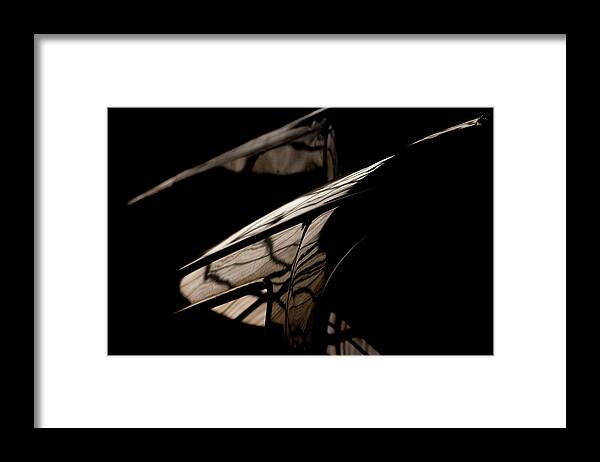 Darkness Framed Print featuring the photograph So Beautiful by Paul Job