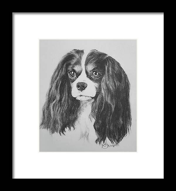 Pet Portrait Framed Print featuring the drawing So Cavalier by Rachel Bochnia