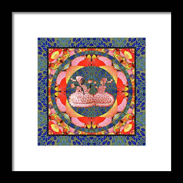 Mandalas Framed Print featuring the photograph So Lotus by Bell And Todd