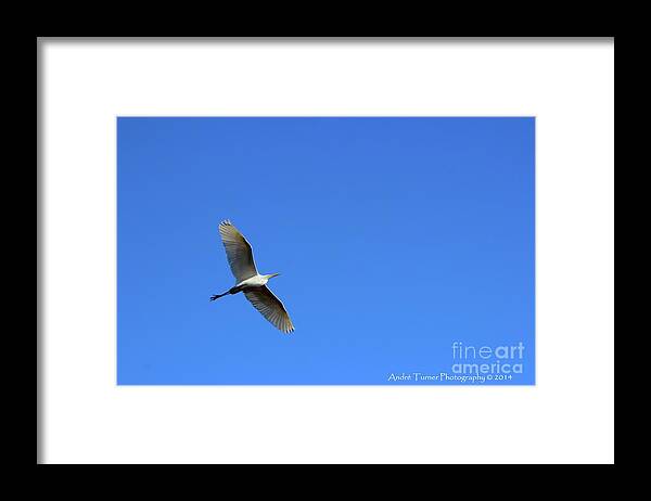  Framed Print featuring the photograph Soar by Andre Turner