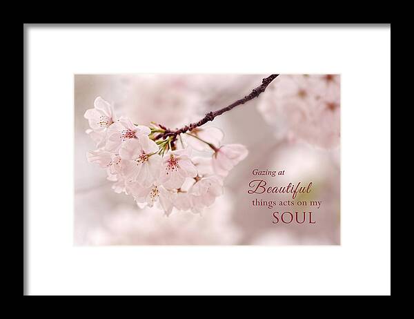 Flower Photography Framed Print featuring the photograph Soft Medley With Message by Mary Buck