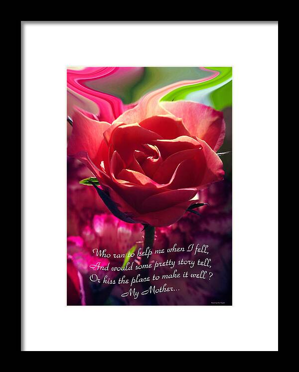 Flowers Framed Print featuring the photograph Softly... by Arthur Miller