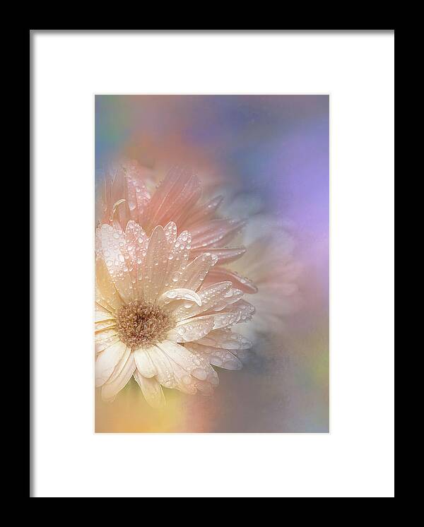 Daisy Framed Print featuring the digital art Softness Receding by Terry Davis