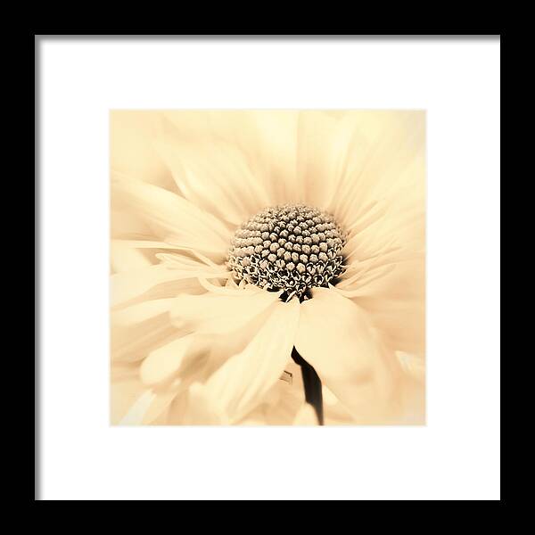 Flower Framed Print featuring the photograph Soiree in Creamy Yellow by Darlene Kwiatkowski