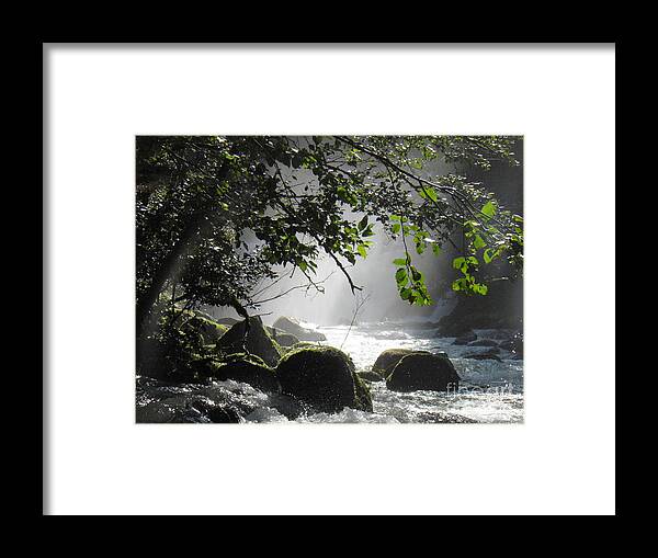 River Falls Rocks Moss Trees Leaves Water Light Shadow Green White Grey Black Brown Mist Branches Foam Shiny Landscape Sunlight Framed Print featuring the photograph Solace by Ida Eriksen