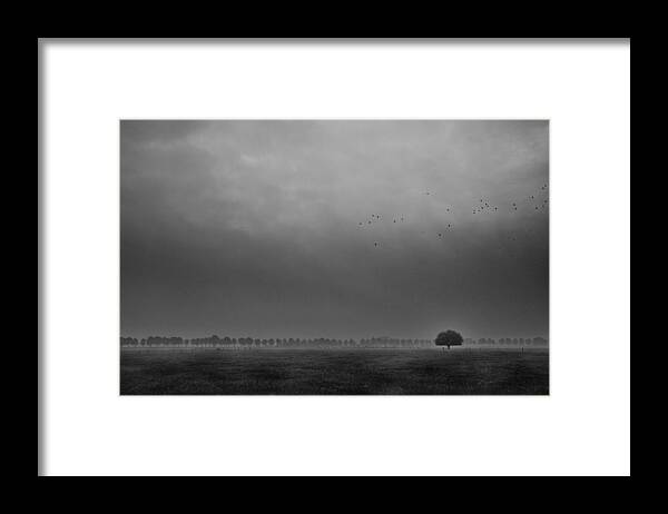Mist Framed Print featuring the photograph Solitaire by Michiel Hageman