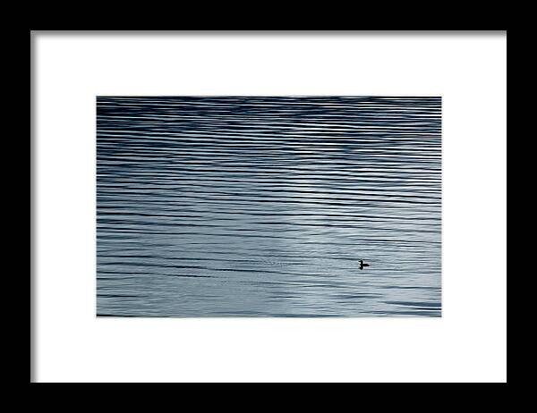 Pixels Framed Print featuring the photograph Solitary Loon on Kootenay Lake, British Columbia. by Rob Huntley