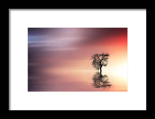 Amazing Framed Print featuring the photograph Solitude by Bess Hamiti