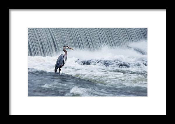 Grey Framed Print featuring the photograph Solitude in stormy waters by Mircea Costina Photography