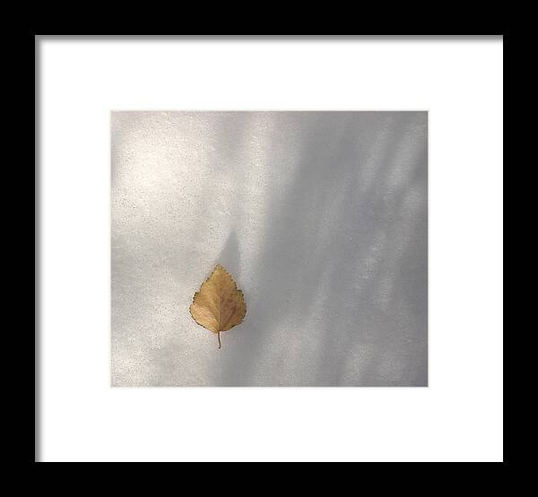 Leaf Framed Print featuring the photograph Solitude by Marilynne Bull