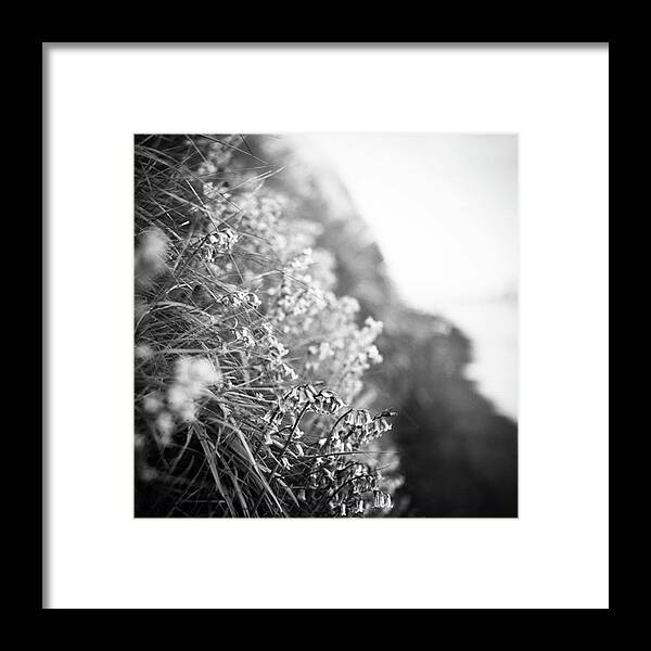  Framed Print featuring the photograph Sometimes Beauty Waits To Be Found In by Aleck Cartwright