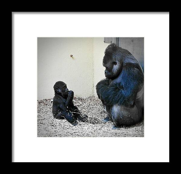Animals Framed Print featuring the photograph Gorilla Father Kidogo And Son Pepe by Elisabeth Derichs