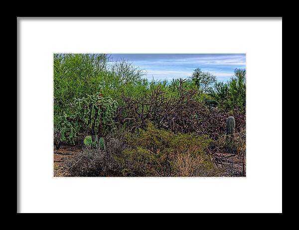 Arizona Framed Print featuring the photograph Sonoran Blend h1820 by Mark Myhaver