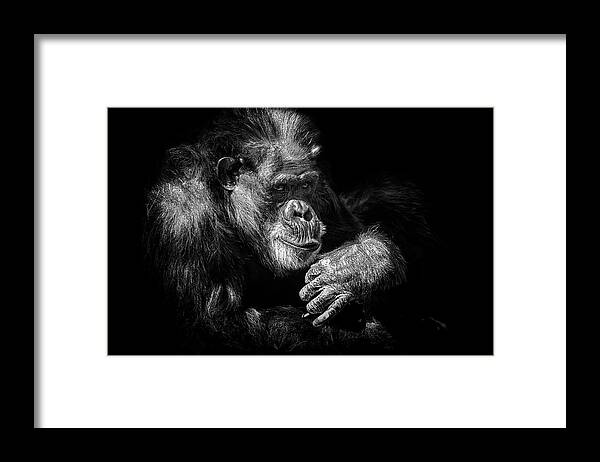 Crystal Yingling Framed Print featuring the photograph Sooooo by Ghostwinds Photography