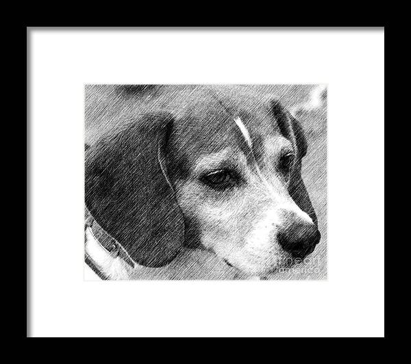 Animal Framed Print featuring the drawing Soulful Beagle Eyes by Smilin Eyes Treasures