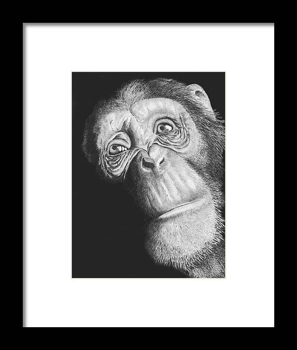 Wildlife Framed Print featuring the drawing Soulful in Ink by Lawrence Tripoli