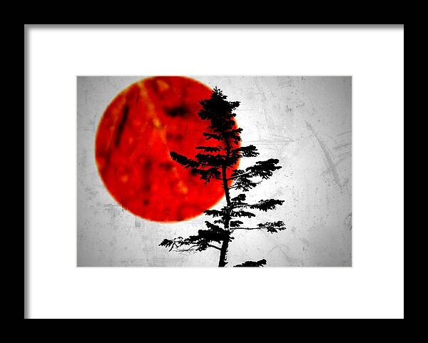 Tree Framed Print featuring the photograph Source by Mark Ross