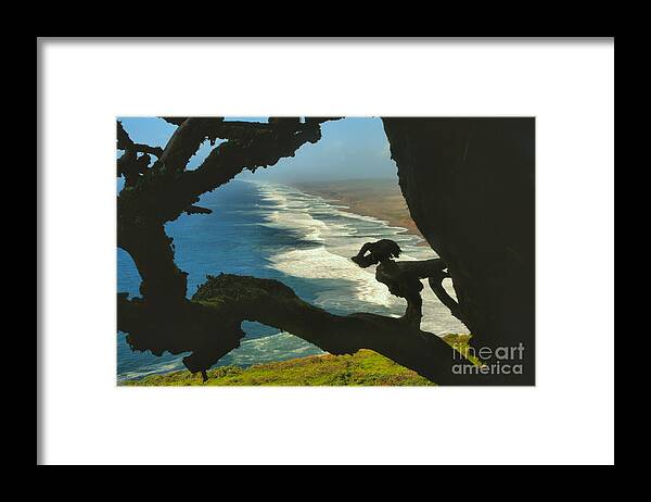 Point Reyes Framed Print featuring the photograph South Beach Demon by Adam Jewell
