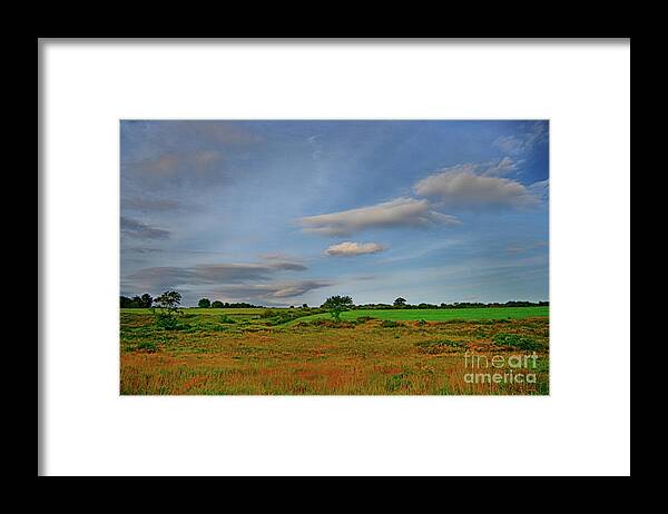 Landscape Framed Print featuring the photograph Southbury by Dani McEvoy