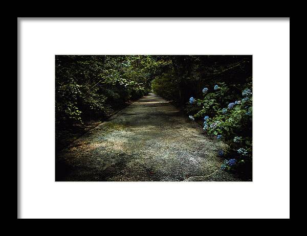 South Carolina Framed Print featuring the photograph Southern Blue by Jessica Brawley
