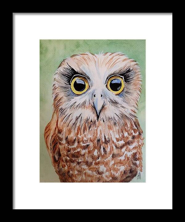 Watercolour Framed Print featuring the painting Southern Boobook Owl by Anne Gardner