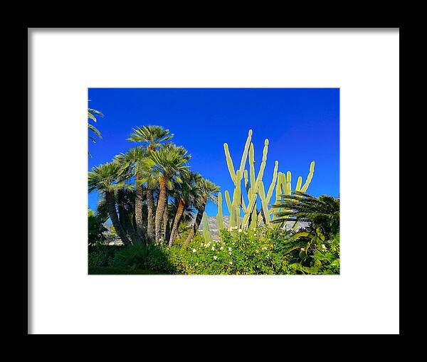 Southernfranceprint Framed Print featuring the photograph Southern France Beauty by Monique Wegmueller