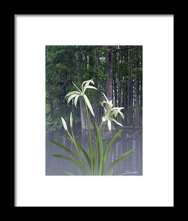 Flower Framed Print featuring the digital art Southern Swamp Lily by M Spadecaller