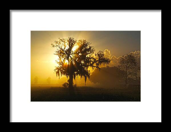 Spanish Framed Print featuring the photograph Spanish Morning by Robert Och