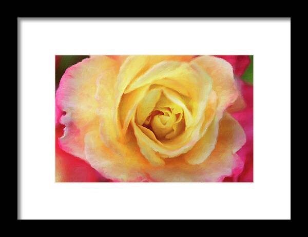 Connie Handscomb Framed Print featuring the photograph Speak To Me Of Roses by Connie Handscomb