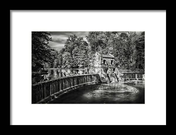 Fall Framed Print featuring the photograph Speedwell swirls by Eduard Moldoveanu