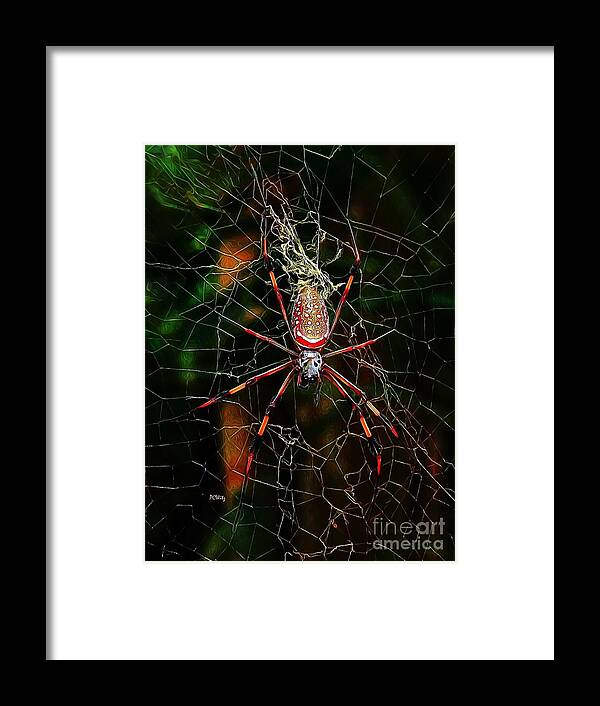 Spider Silk Framed Print featuring the photograph Spider Silk by Patrick Witz