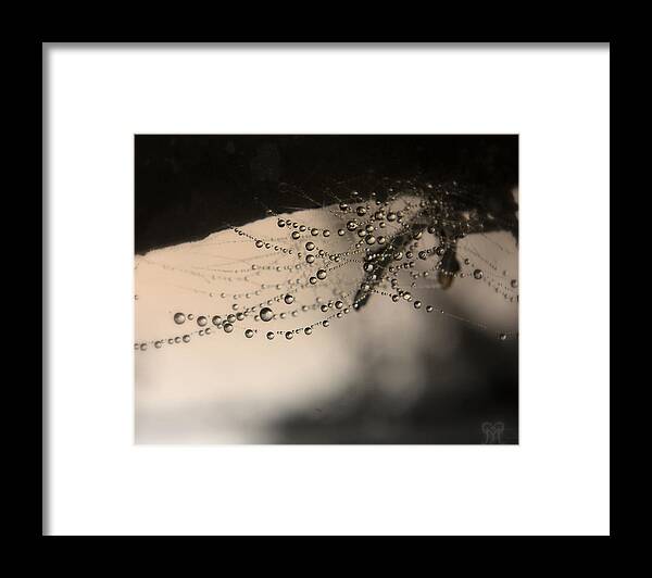 Water Framed Print featuring the photograph Spider's Surprise by Karen Musick