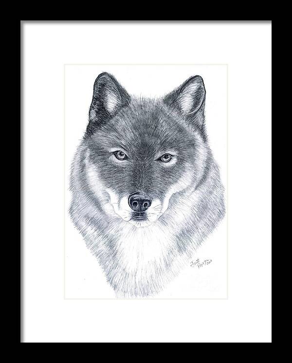 Wolf Framed Print featuring the drawing Spirit Guide by Joette Snyder