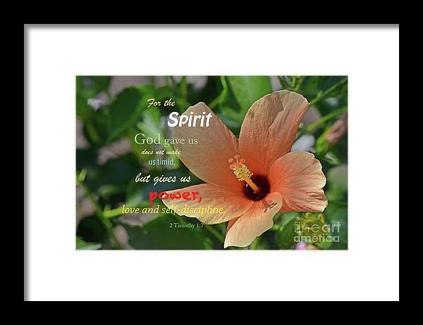 Scripture Framed Print featuring the photograph Spirit of God by Debby Pueschel
