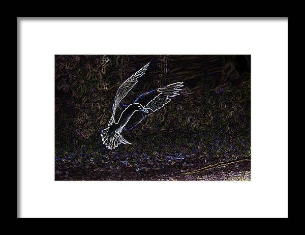 Bird Framed Print featuring the photograph Spiritual realm by Terry Dadswell