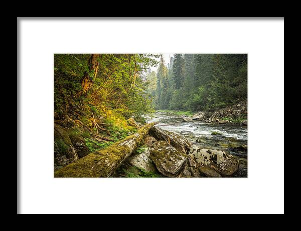 Selway Framed Print featuring the photograph Splash of Sunlight by Brad Stinson