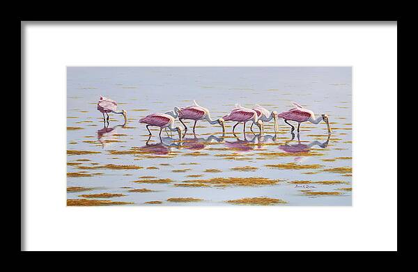 Wildlife Framed Print featuring the painting Spoonbills Feeding by Bruce Dumas