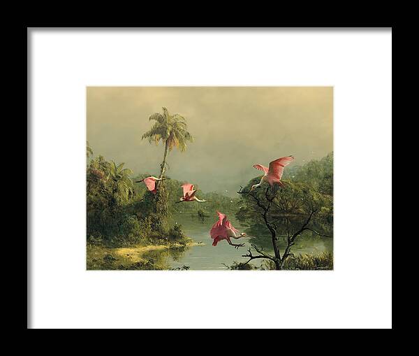 Birds Framed Print featuring the digital art Spoonbills in the Mist by M Spadecaller