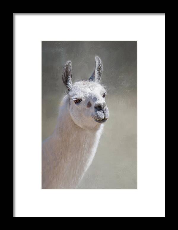 Llama Framed Print featuring the photograph Spot by Robin-Lee Vieira