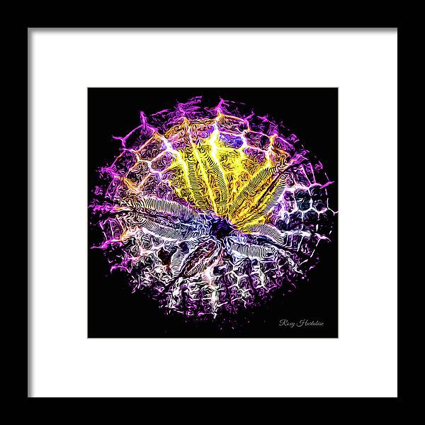 Sand Dollar Framed Print featuring the photograph Spotlight Vibrant by Roxy Hurtubise