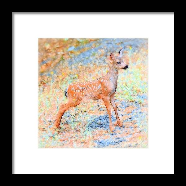 Spotted Fawn Framed Print featuring the photograph Spotted Fawn by Patrick Witz