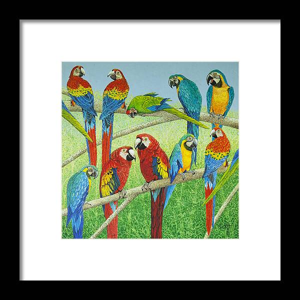 Parrot Framed Print featuring the painting Spreading the news by Pat Scott