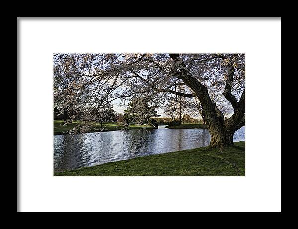 Landscape Framed Print featuring the photograph Spring at Dawes Arboretum by Roberta Kayne