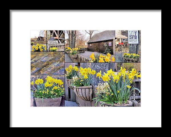 Plimoth Grist Mill Framed Print featuring the photograph Spring at the Plimoth Grist Mill by Janice Drew