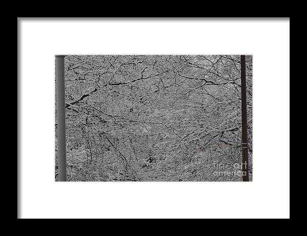 Snow Framed Print featuring the photograph Spring Begins by Nona Kumah