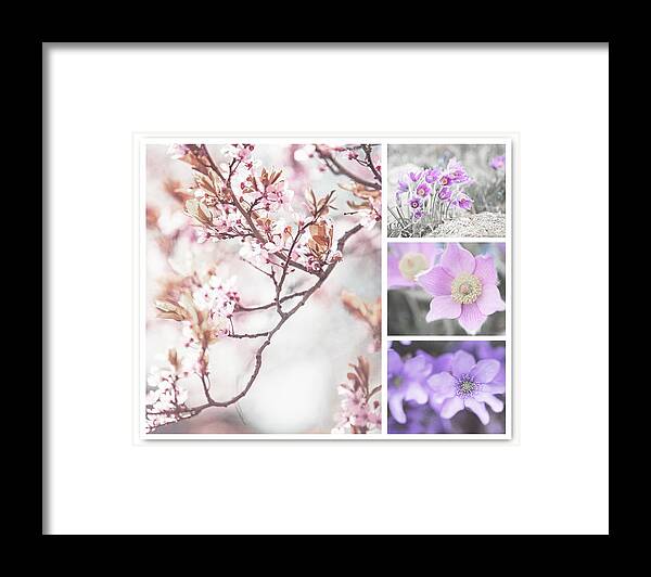 Jenny Rainbow Fine Art Photography Framed Print featuring the photograph Spring Bloom Collage 1. Shabby Chic Collection by Jenny Rainbow