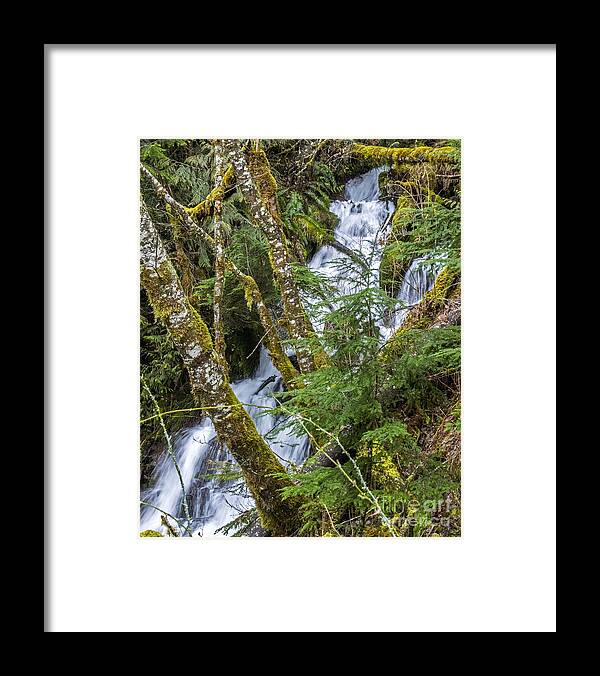 Streams Framed Print featuring the photograph Spring Cascade by Chuck Flewelling