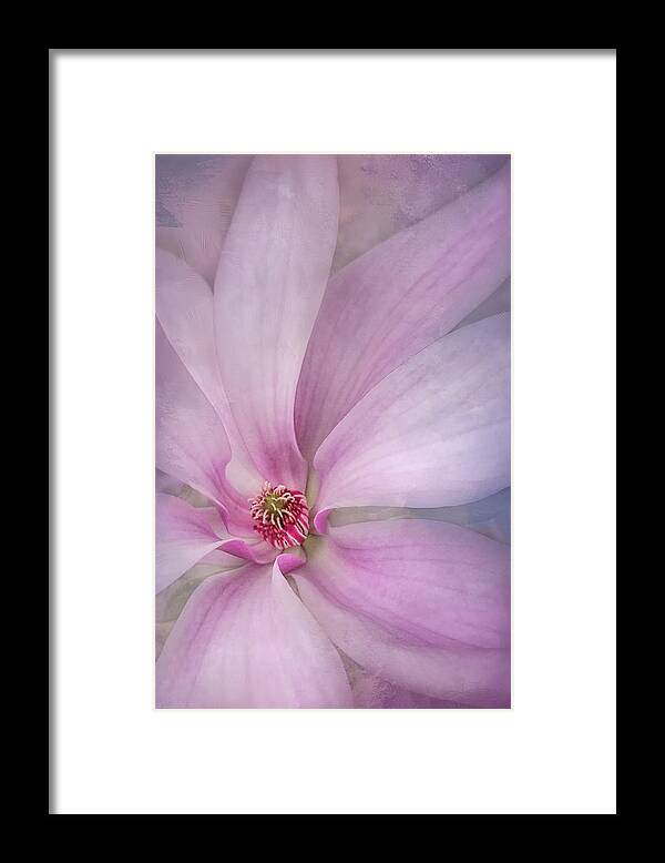 Magnolia Framed Print featuring the photograph Spring Comes Softly by Jill Love